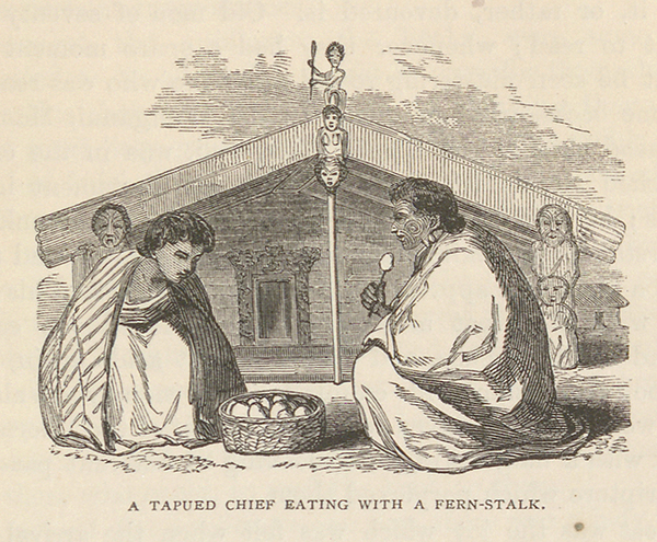 early New Zealand, Richard Taylor drawing
